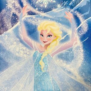 ARTISSIMO Princess Elsa Framed Canvas Painting